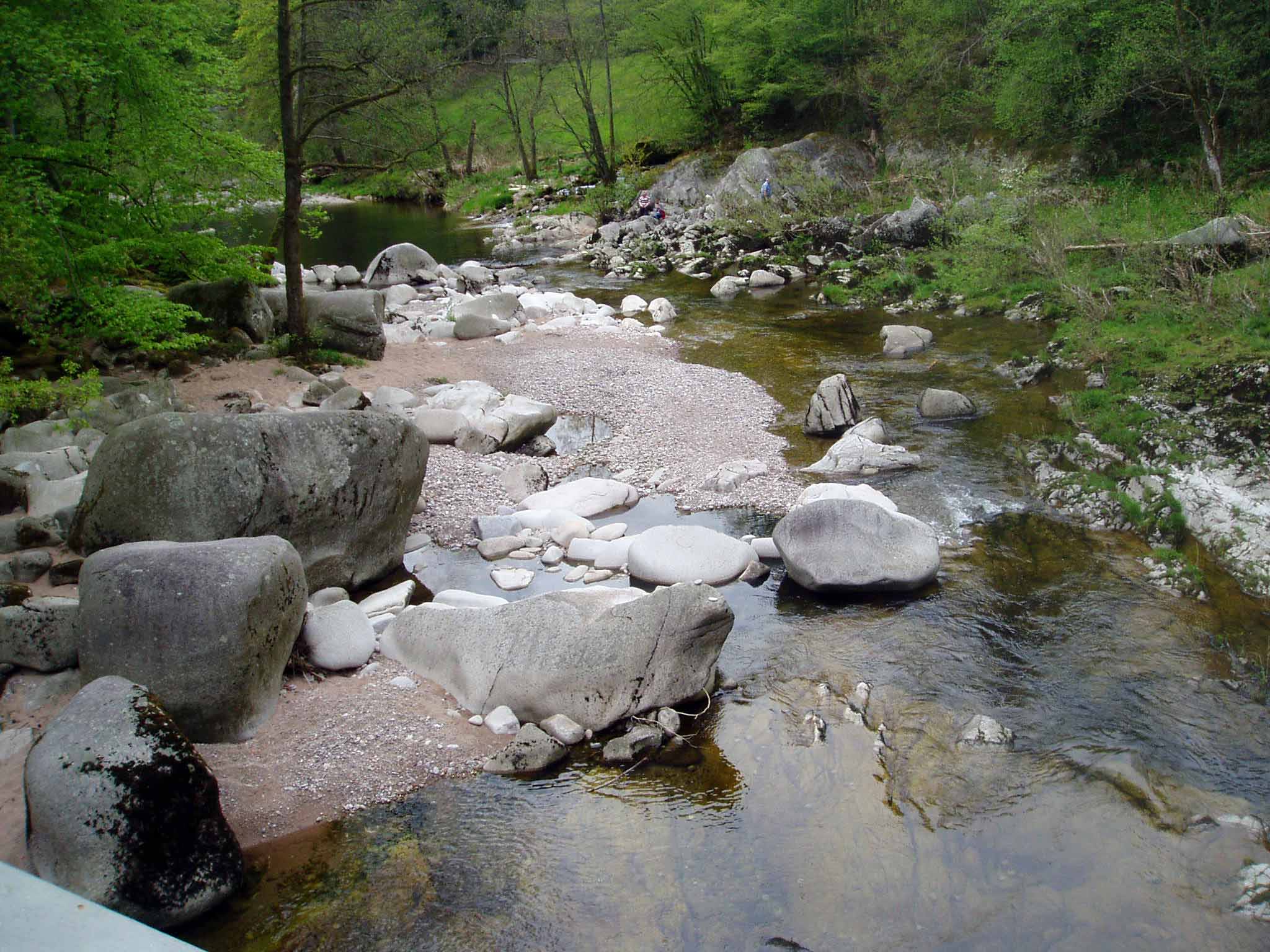 FLUSSLANDSCHAFT MURG heinz zoller naturfreunde rastatt murg bei forbach 1