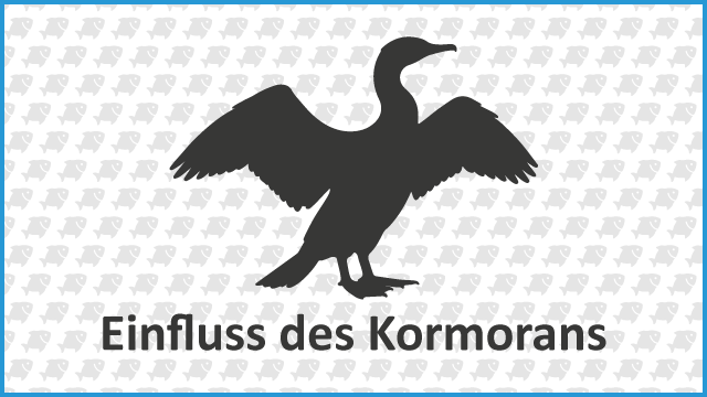 2022.01.26 news 640x320