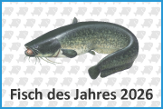2023.02.08 fisch des jahres