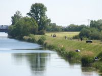 TA Vereine in Günthersdorf 01.06.2019