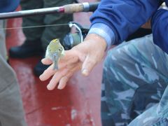 Senioren Meer 2018 053