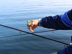 Senioren Meer 2018 055