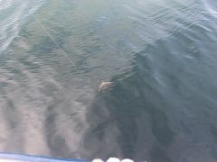 Senioren Meer 2018 080