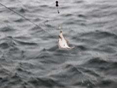 Meeresangeln Senioren 2019 054