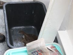 Meeresangeln Senioren 2019 055