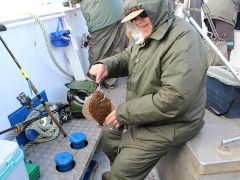 Meeresangeln Senioren 2019 061