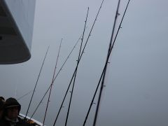 Meeresangeln Senioren 2019 064