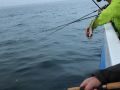 Meeresangeln Senioren 2019 070