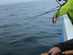 Meeresangeln Senioren 2019 070