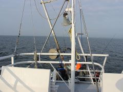 Meeresangeln Senioren 2019 097