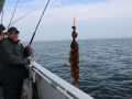 Meeresangeln Senioren 2019 102