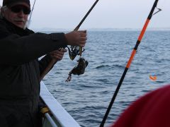 Meeresangeln Senioren 2019 104