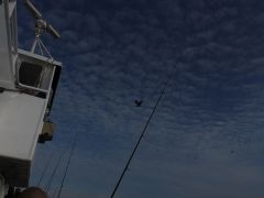 Meeresangeln Senioren 2019 108