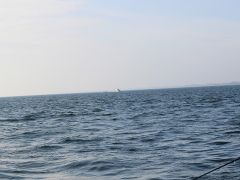 Meeresangeln Senioren 2019 113